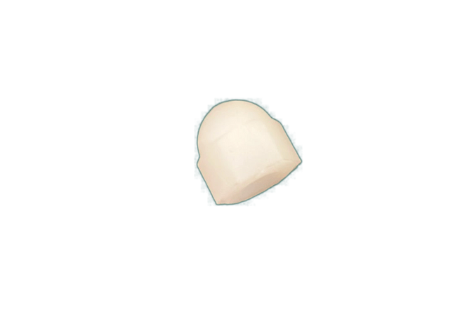 10-24 Cap Nut-Off-White