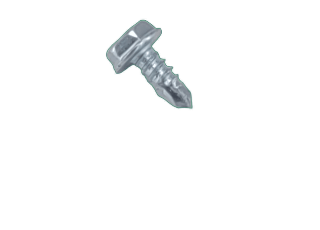 Muffler screw