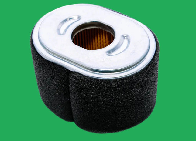 Filter, Air PermaGreen